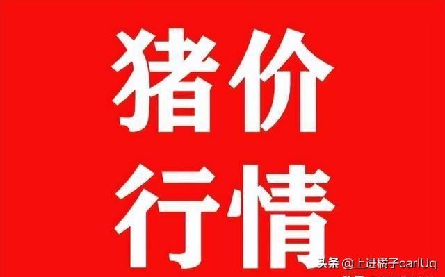 实时解答解释定义：2024天天彩全年免费资料_BT49.58.98