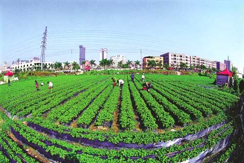 土地最新概念,土地最新概念，重塑我们对土地的认知与利用，土地新概念重塑，认知与利用的土地革命