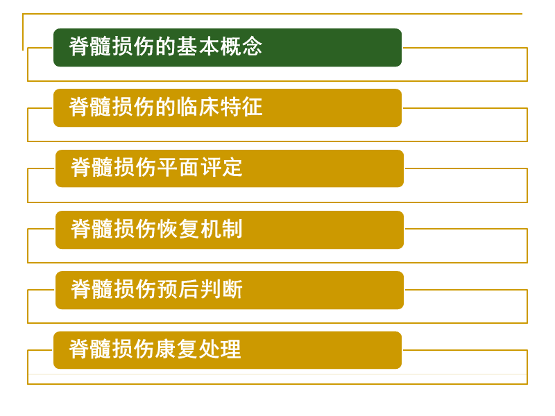 脊髓损伤最新进展,脊髓损伤最新进展，小巷深处的神秘小店与希望之光，脊髓损伤最新进展，小巷神秘小店中的希望之光探索