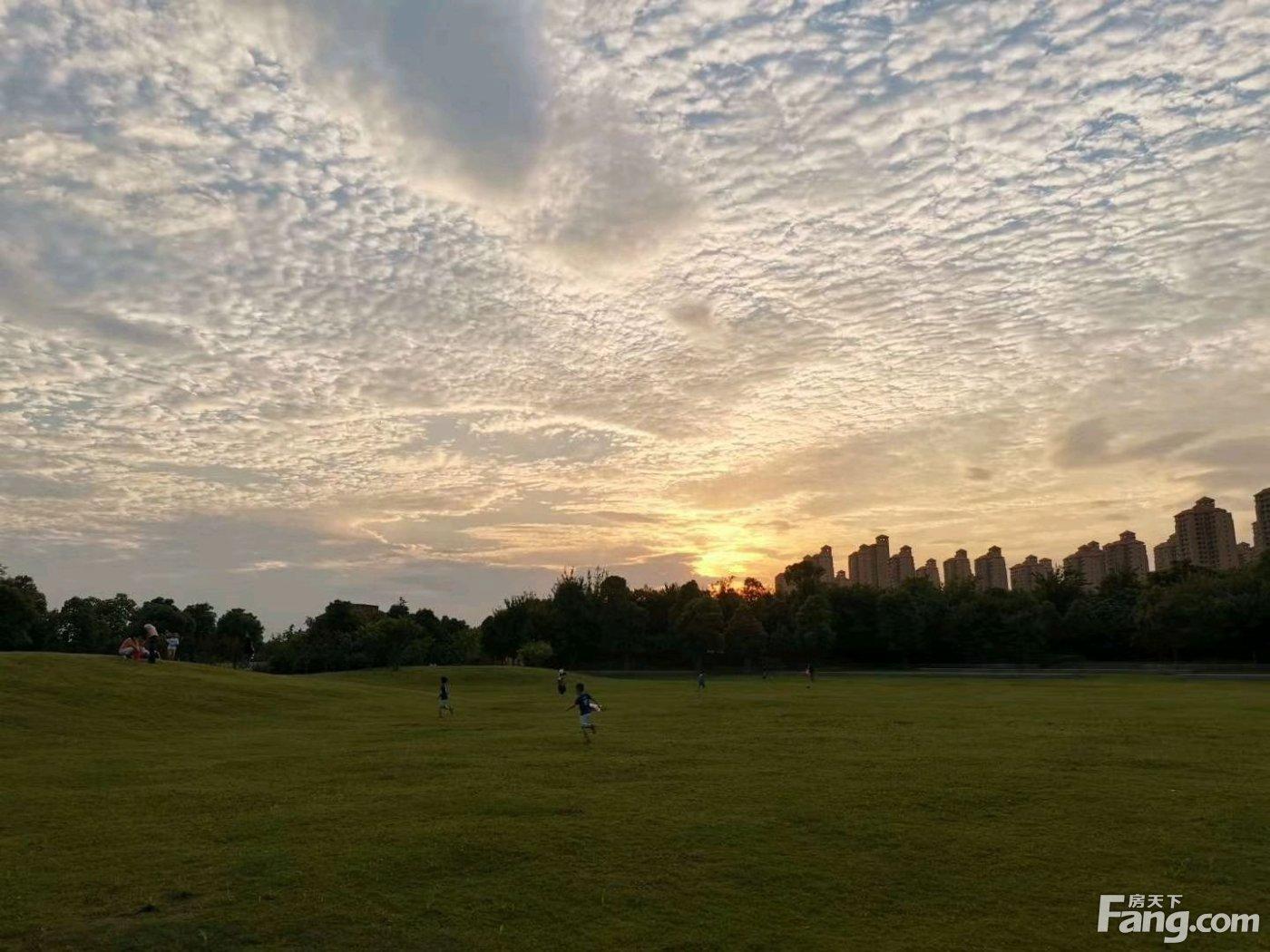 沙市楼盘房价最新,沙市楼盘房价最新背景及影响，沙市楼盘房价最新动态，背景、影响及最新价格概述