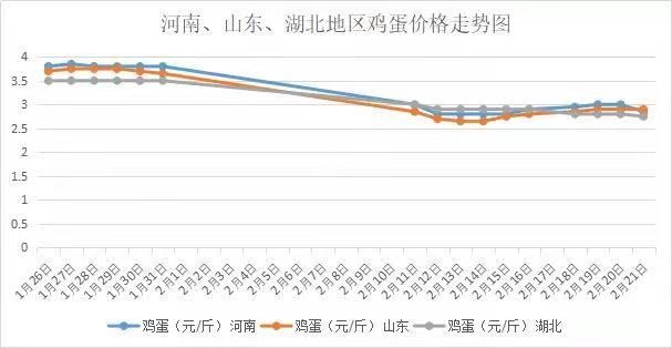 河南鸡蛋价格最新行情,河南鸡蛋价格最新行情——科技引领未来，智能体验尽在掌握，河南鸡蛋价格最新行情，科技智能引领市场，尽在掌握体验