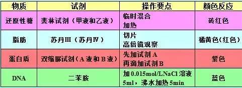 2024新澳资料大全最新版本亮点_钛白粉最新价格走势图,最新答案解析说明_薄荷版52.98.91